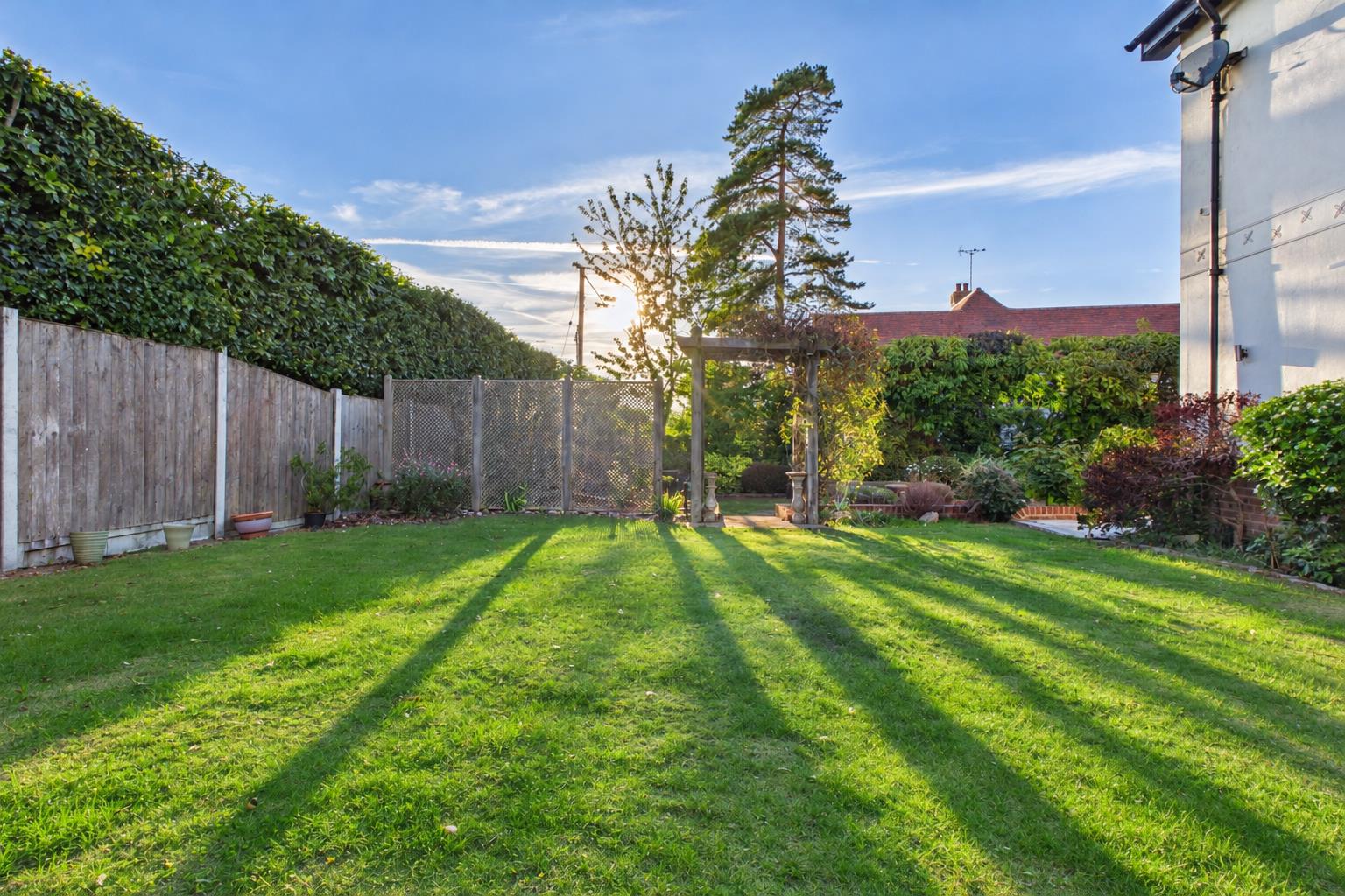 Golden Hour Suburban Garden Lawn.png
